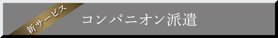 コンパニオン派遣